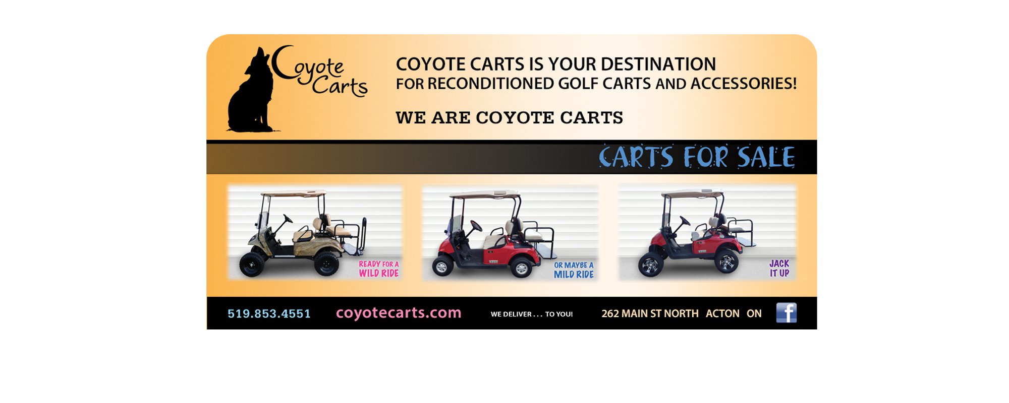 coyote