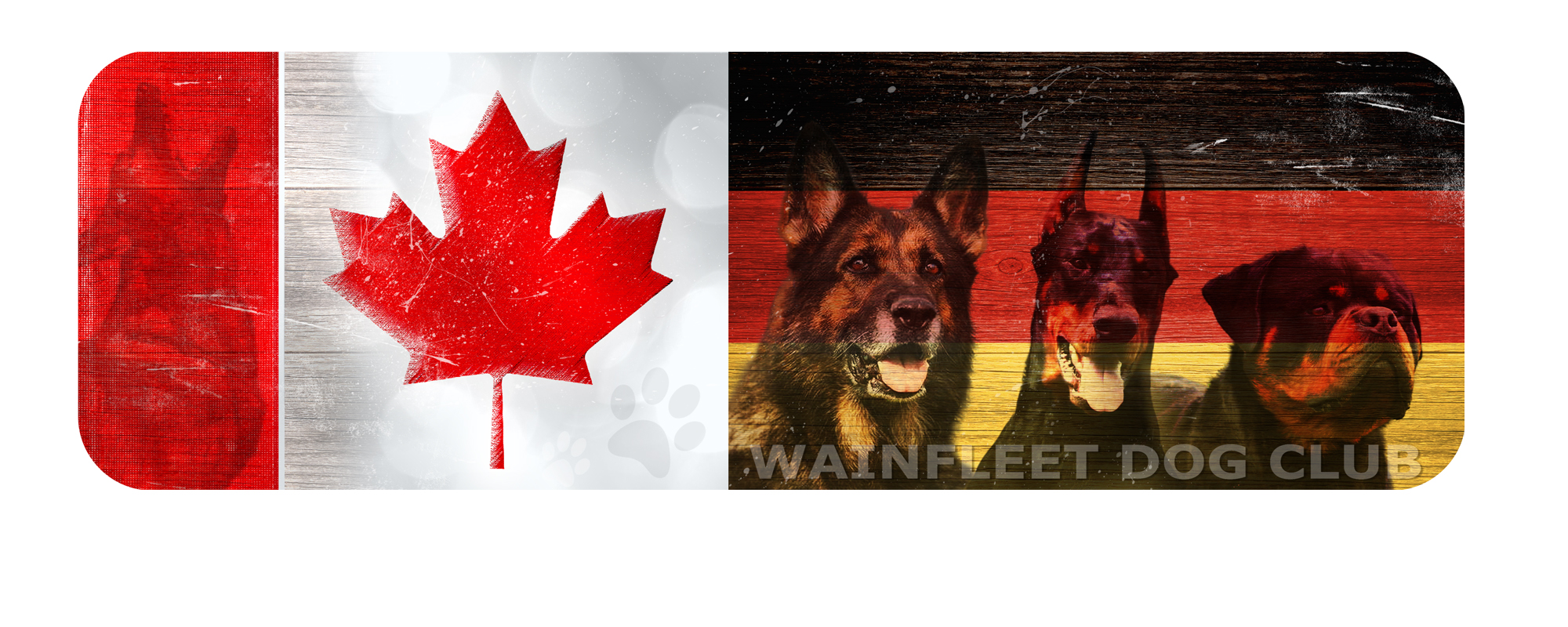 dogs